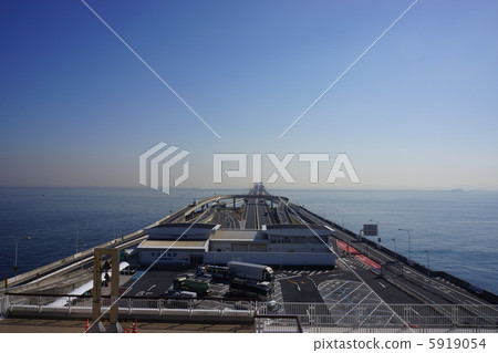 海螢火蟲 5919054