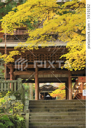 Kwon Maesamon 5919282