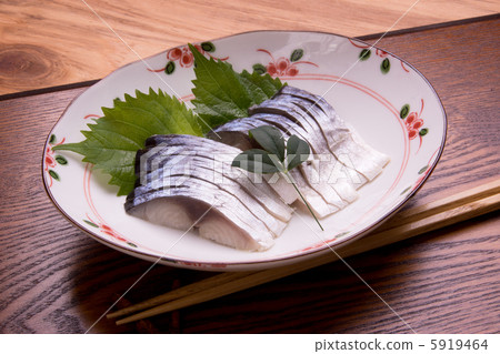 Shark mackerel 5919464