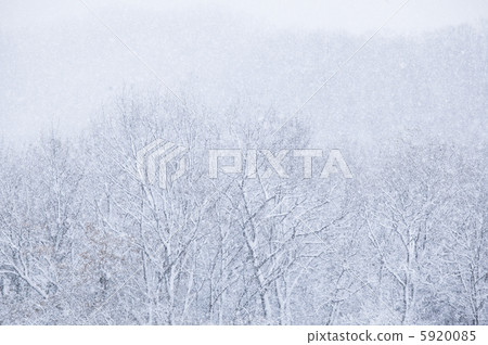 Snowstorm 5920085