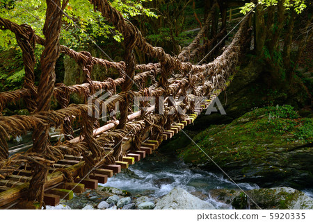 Kazura Bridge 5920335