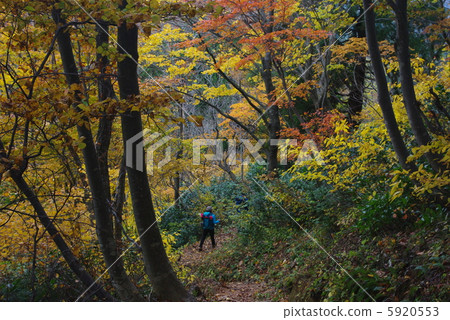 Late autumn, the Oji Oko volcano 5920553