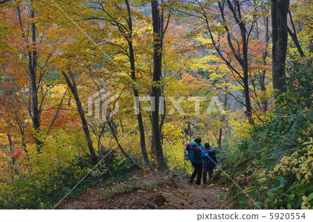 深秋，Oji Oko火山 5920554