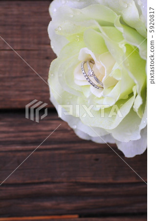 雙鑽戒指與白玫瑰婚禮形象 5920817