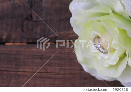 雙鑽戒指與白玫瑰婚禮形象 5920818