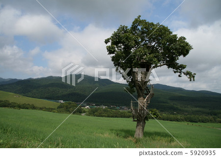 Naitai高原 5920935