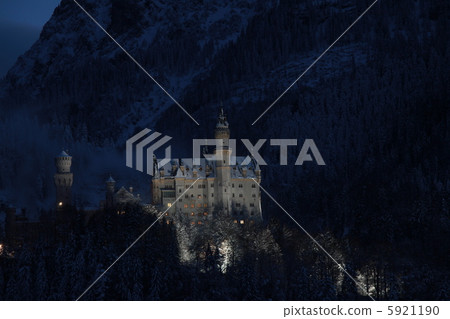 斯諾的新天鵝堡 5921190