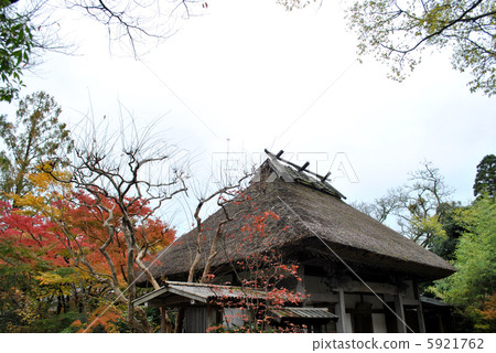 Thatched roof 5921762