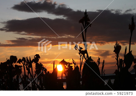 Munakata Sunset and Kanna 5921973