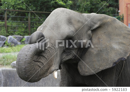 圖片 圖片 5922183