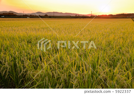 Sunset and autumn countryside 5922337