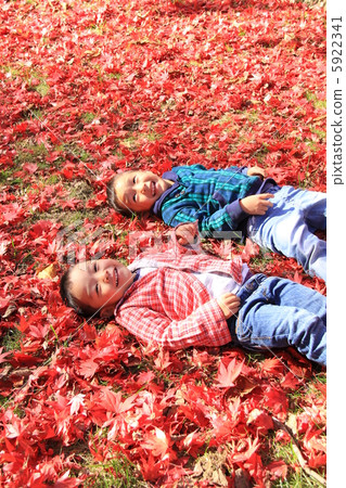 在秋葉的色的地毯 在秋葉的色的地毯 5922341