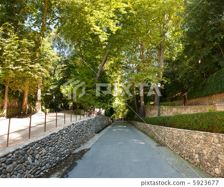 Path through the landscaped park at Alhambra, Granada, Spain Path through the landscaped park at Alhambra, Granada, Spain 5923677