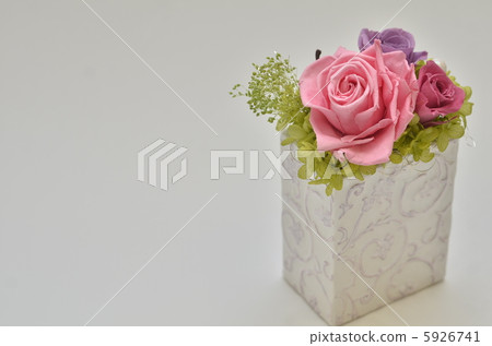 保存完好的花卉現代風格 5926741
