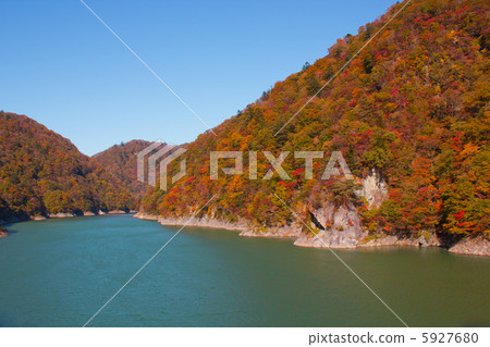 秋季葉子百合湖 5927680