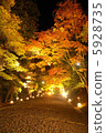 Autumn leaves · Light up · Hiyoshi Taisha 5928735