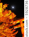 Autumn leaves · Light up · Hiyoshi Taisha 5928736