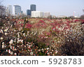 Osaka Castle Park Bairin OBP 5928783