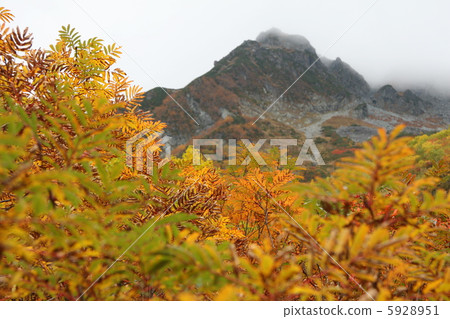 庫賴山 庫賴山 5928951