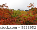 庫賴山 5928952