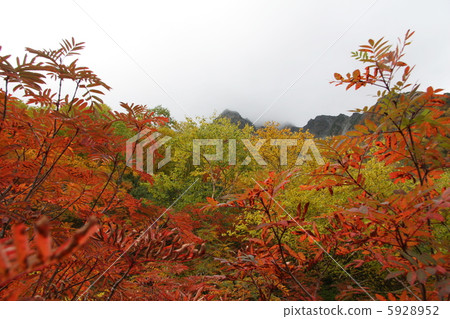 庫賴山 5928952