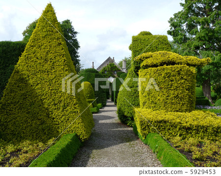 Topiary Garden 5929453
