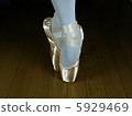 芭蕾 5929469
