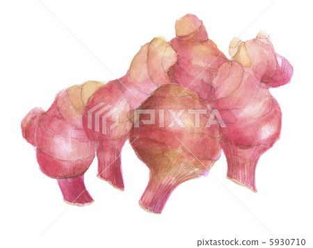 Golden ginger ginger crab ginger 5930710