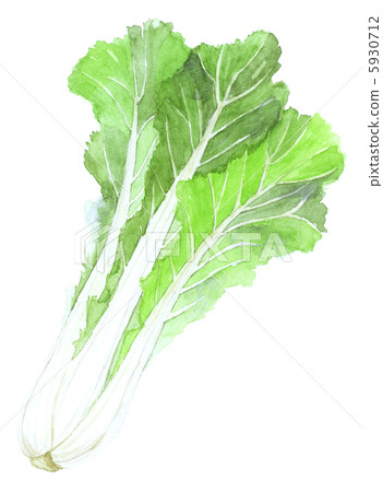 I wish you vegetables 5930712