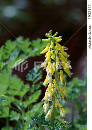 我是黃華凱克曼。我愛水邊。 5932163