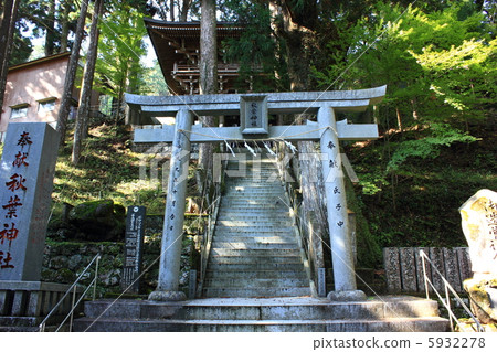 秋葉原神社鳥居高知縣新大川町2012.11.6射擊Tori Hirari四國山 秋葉原神社鳥居高知縣新大川町2012.11.6射擊Tori Hirari四國山 5932278