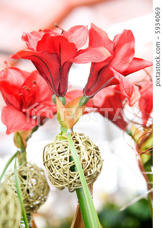 floristic background 5934069