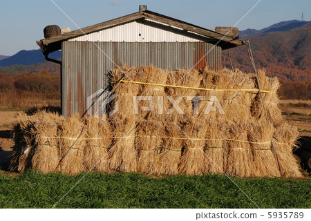 Nobeyama Takahara秋天 5935789