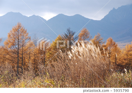 Nobeyama高原的秋天 Nobeyama高原的秋天 5935790