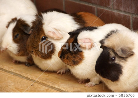 Everyone is good friends 5936705