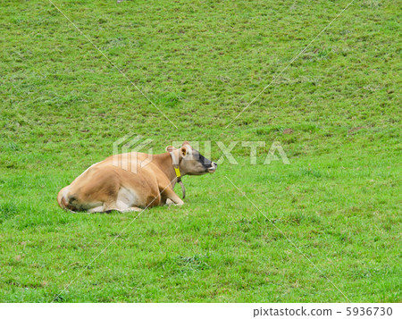 瑞士風景（歐洲） 5936730