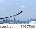 Main wing Main wing 5937500