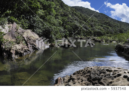 西表島，在Urauchi河1的軍艦岩石周圍 5937548