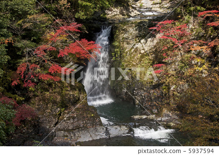 Takano Otaki秋葉 5937594