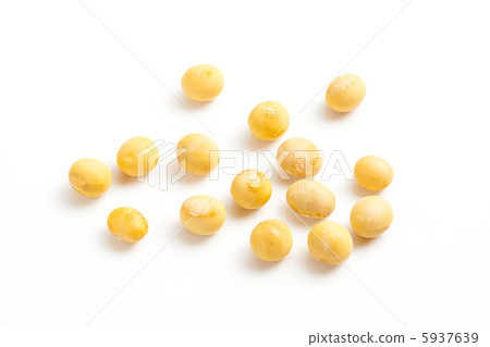 Soybean Soybean 5937639