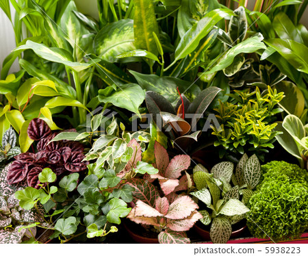 nature background nature background 5938223
