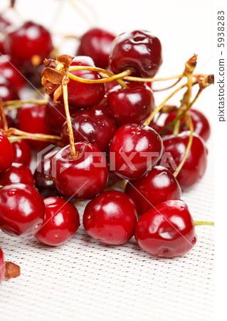 fresh cherry fresh cherry 5938283