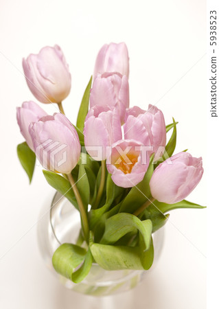 pink tulips in the vase pink tulips in the vase 5938523