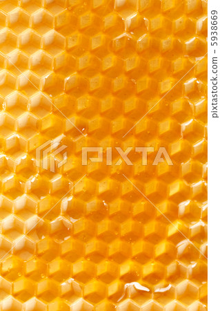 fresh honey in comb fresh honey in comb 5938669