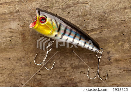 fishing lure 5938823