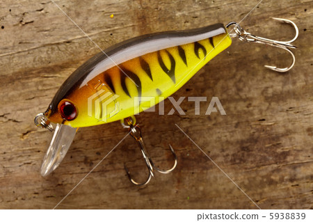 fishing lure 5938839