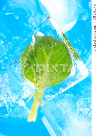 ice and leaf ice and leaf 5939179