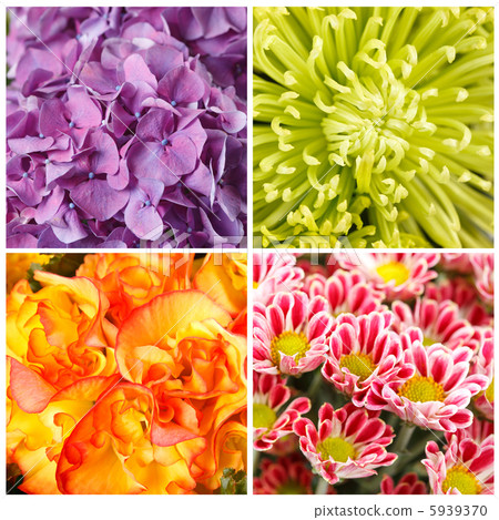 flower collage flower collage 5939370