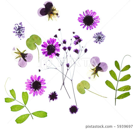 summer flowers summer flowers 5939697