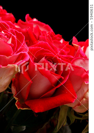 Beautiful flowers Beautiful flowers 5940631